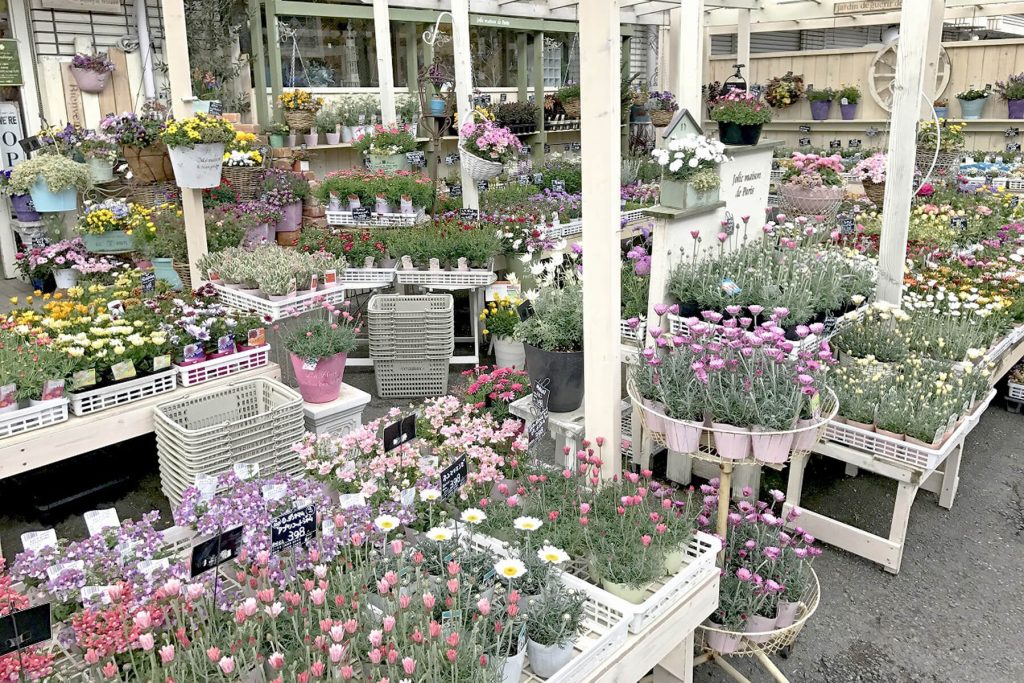 Selected Plants Shop よつ葉やさん 大阪府豊中市 株式会社 友膳